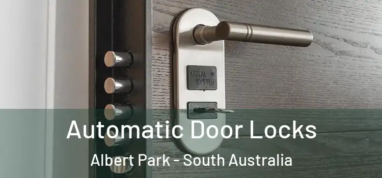Automatic Door Locks Albert Park - South Australia