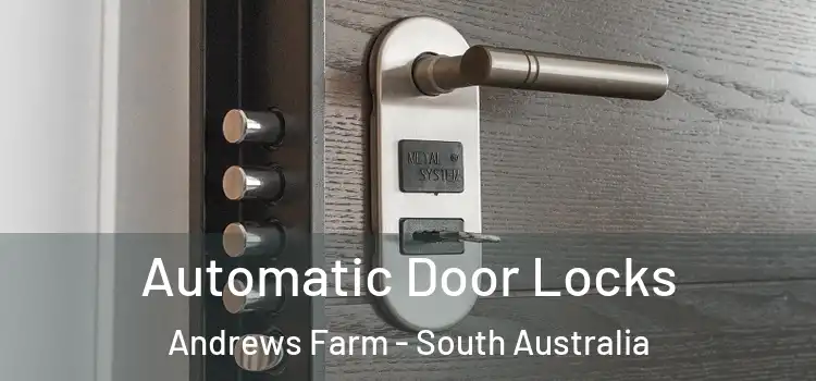 Automatic Door Locks Andrews Farm - South Australia