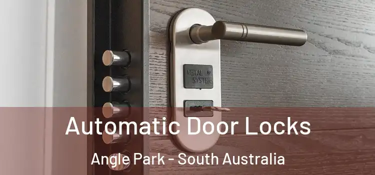 Automatic Door Locks Angle Park - South Australia