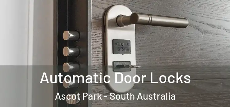 Automatic Door Locks Ascot Park - South Australia