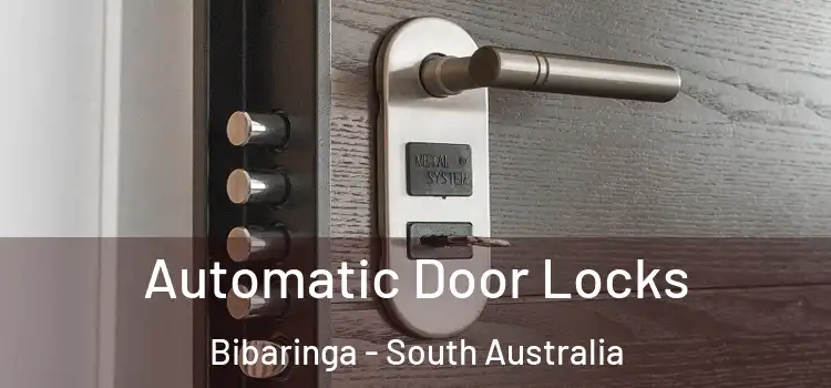 Automatic Door Locks Bibaringa - South Australia