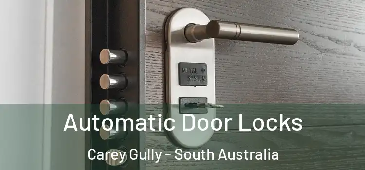 Automatic Door Locks Carey Gully - South Australia