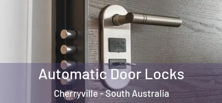 Automatic Door Locks Cherryville - South Australia