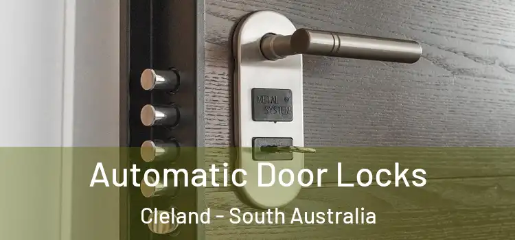 Automatic Door Locks Cleland - South Australia
