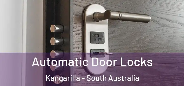 Automatic Door Locks Kangarilla - South Australia