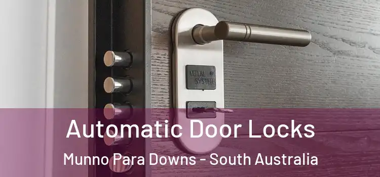 Automatic Door Locks Munno Para Downs - South Australia