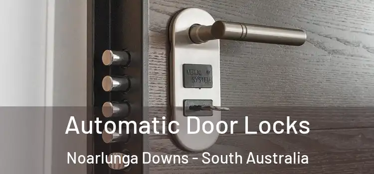 Automatic Door Locks Noarlunga Downs - South Australia