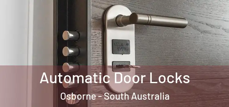 Automatic Door Locks Osborne - South Australia