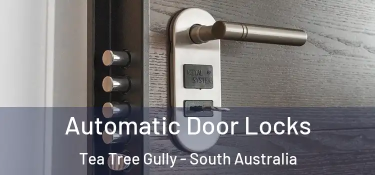 Automatic Door Locks Tea Tree Gully - South Australia