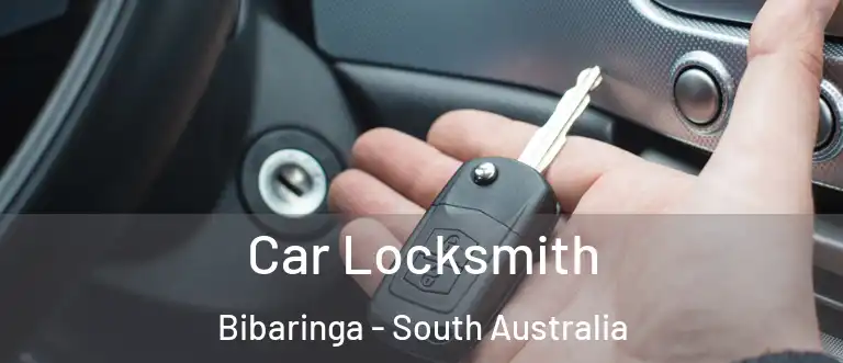 Car Locksmith Bibaringa - South Australia