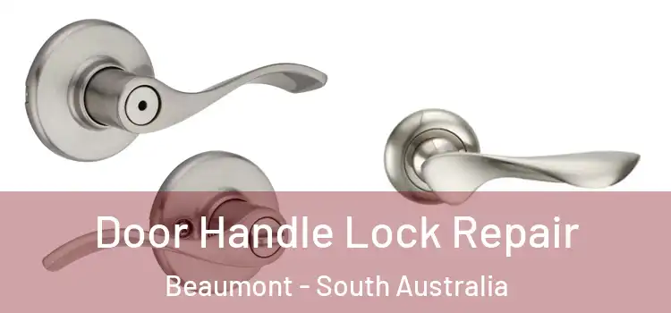 Door Handle Lock Repair Beaumont - South Australia