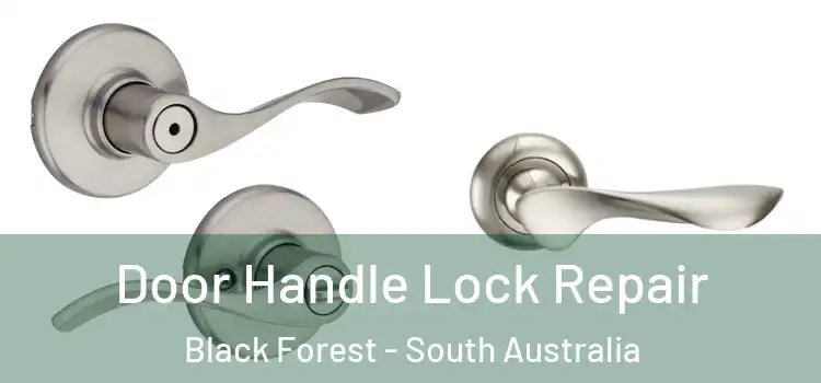 Door Handle Lock Repair Black Forest - South Australia