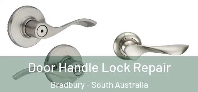 Door Handle Lock Repair Bradbury - South Australia