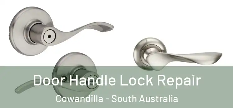 Door Handle Lock Repair Cowandilla - South Australia