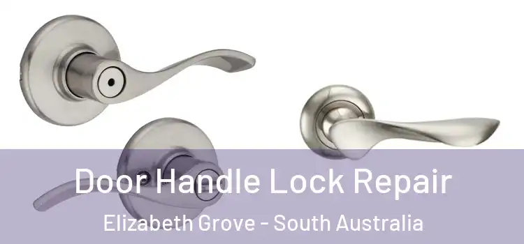 Door Handle Lock Repair Elizabeth Grove - South Australia