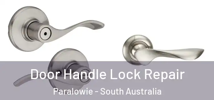 Door Handle Lock Repair Paralowie - South Australia