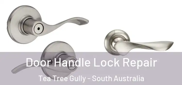 Door Handle Lock Repair Tea Tree Gully - South Australia