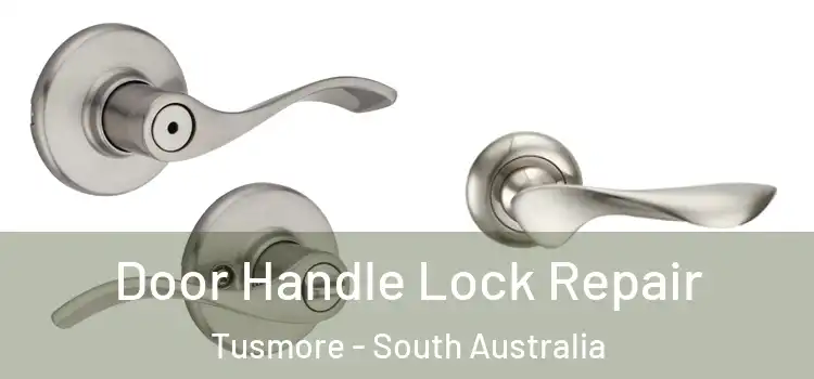 Door Handle Lock Repair Tusmore - South Australia