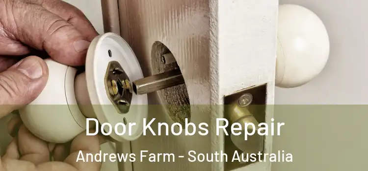Door Knobs Repair Andrews Farm - South Australia