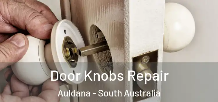 Door Knobs Repair Auldana - South Australia