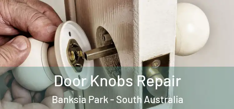 Door Knobs Repair Banksia Park - South Australia