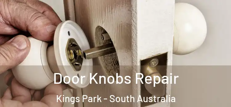 Door Knobs Repair Kings Park - South Australia