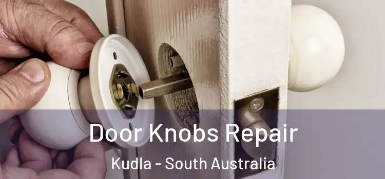 Door Knobs Repair Kudla - South Australia