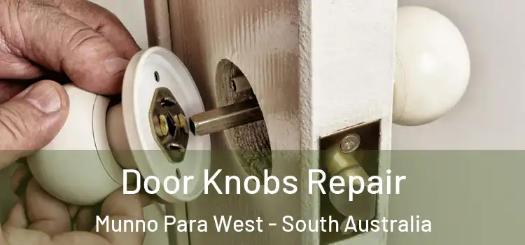 Door Knobs Repair Munno Para West - South Australia