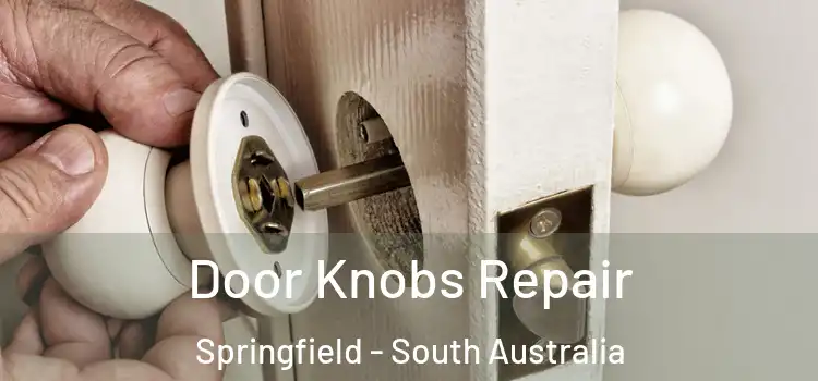Door Knobs Repair Springfield - South Australia