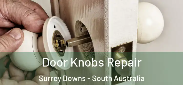 Door Knobs Repair Surrey Downs - South Australia