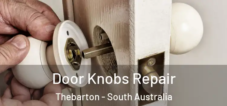 Door Knobs Repair Thebarton - South Australia