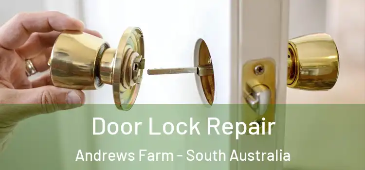 Door Lock Repair Andrews Farm - South Australia