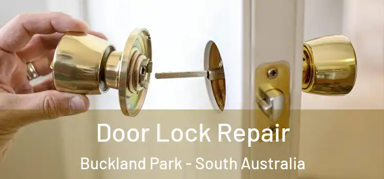 Door Lock Repair Buckland Park - South Australia
