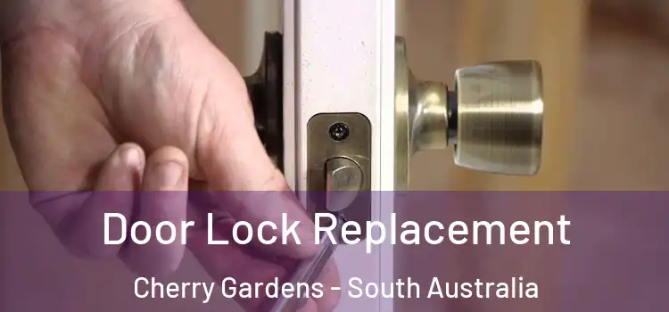 Door Lock Replacement Cherry Gardens - South Australia