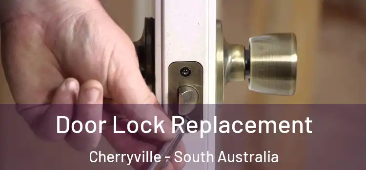Door Lock Replacement Cherryville - South Australia