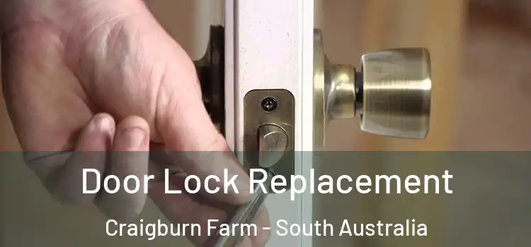 Door Lock Replacement Craigburn Farm - South Australia