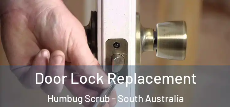 Door Lock Replacement Humbug Scrub - South Australia