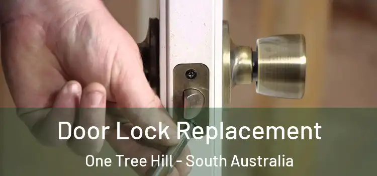 Door Lock Replacement One Tree Hill - South Australia