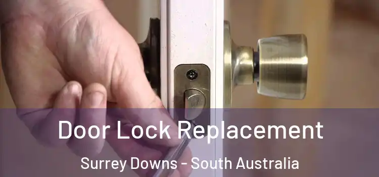 Door Lock Replacement Surrey Downs - South Australia