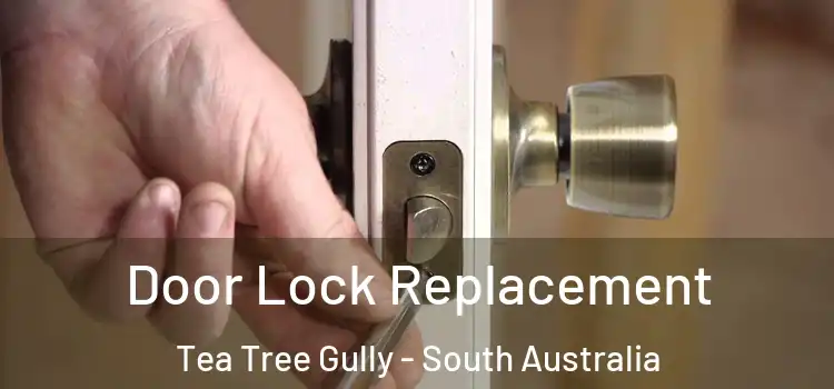 Door Lock Replacement Tea Tree Gully - South Australia