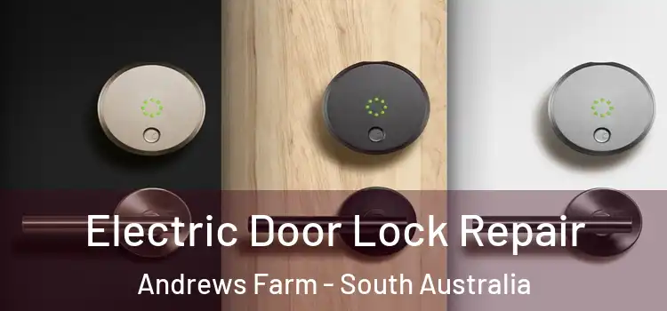 Electric Door Lock Repair Andrews Farm - South Australia