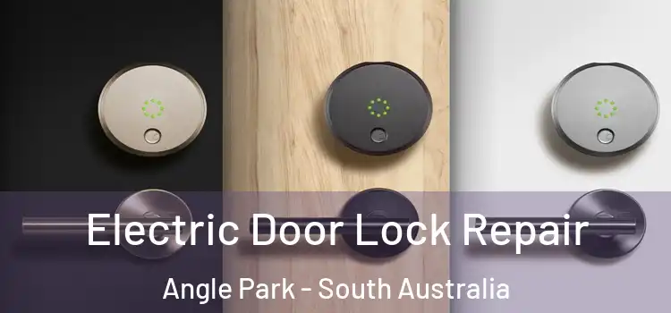 Electric Door Lock Repair Angle Park - South Australia