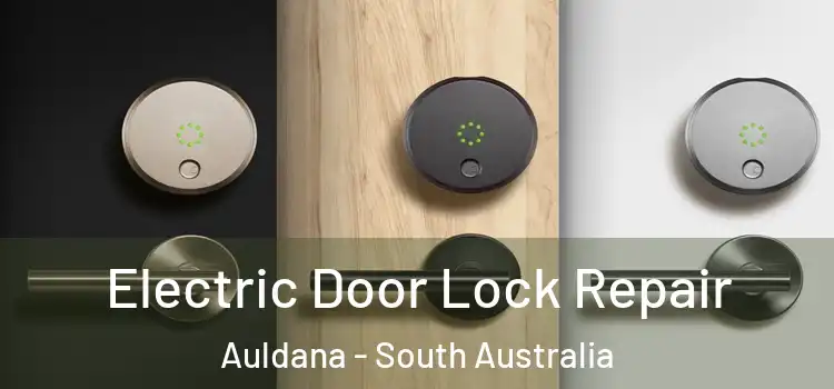 Electric Door Lock Repair Auldana - South Australia