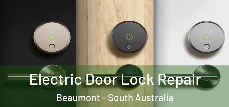 Electric Door Lock Repair Beaumont - South Australia