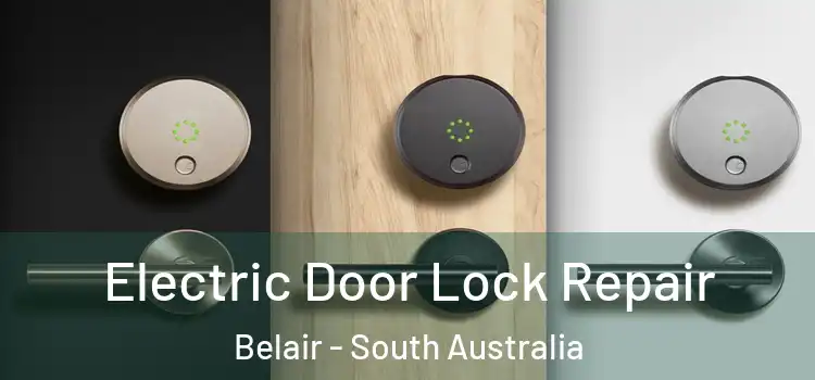 Electric Door Lock Repair Belair - South Australia
