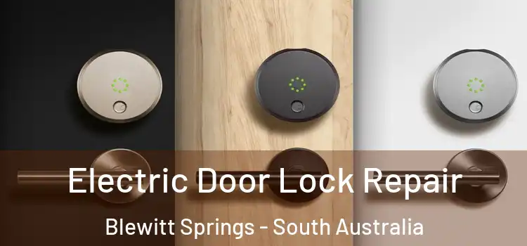 Electric Door Lock Repair Blewitt Springs - South Australia
