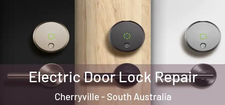 Electric Door Lock Repair Cherryville - South Australia