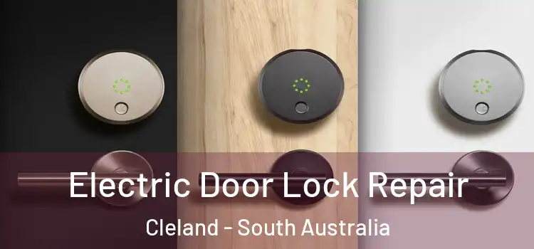 Electric Door Lock Repair Cleland - South Australia