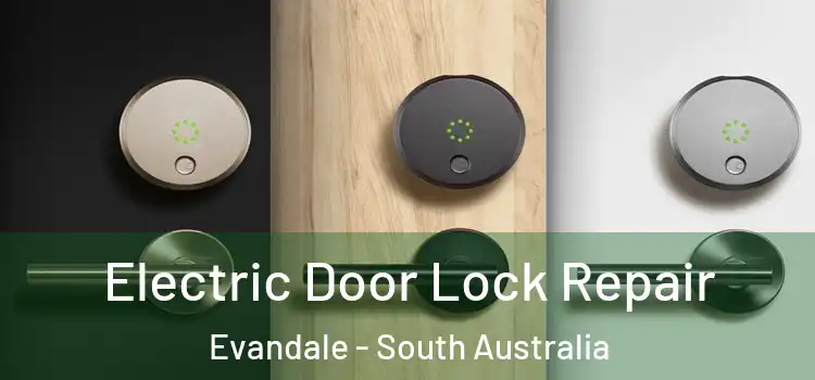 Electric Door Lock Repair Evandale - South Australia