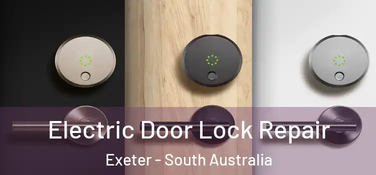 Electric Door Lock Repair Exeter - South Australia